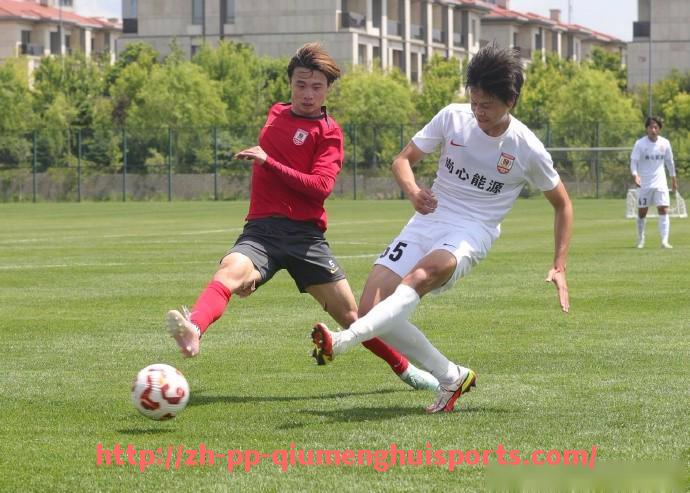 球盟会官网-德甲球队的转会策略与市场操作