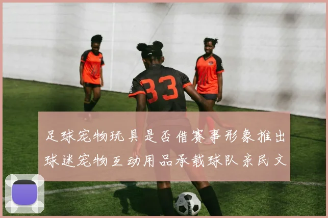 足球宠物玩具是否借赛事形象推出球迷宠物互动用品承载球队亲民文化