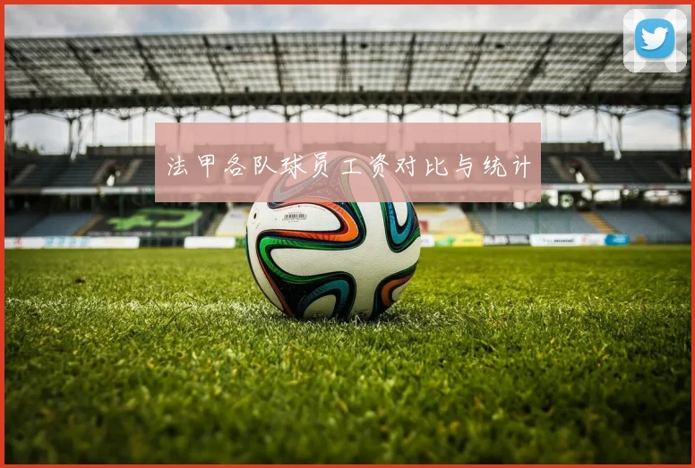 法甲各队球员工资对比与统计