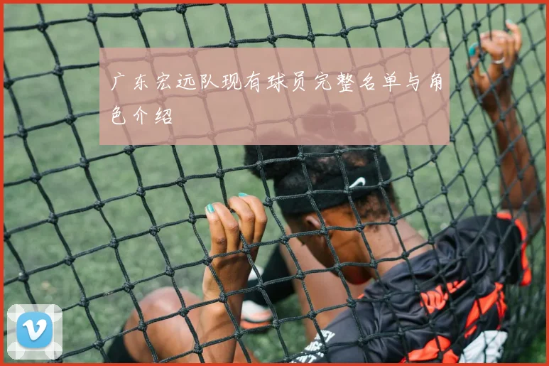 广东宏远队现有球员完整名单与角色介绍