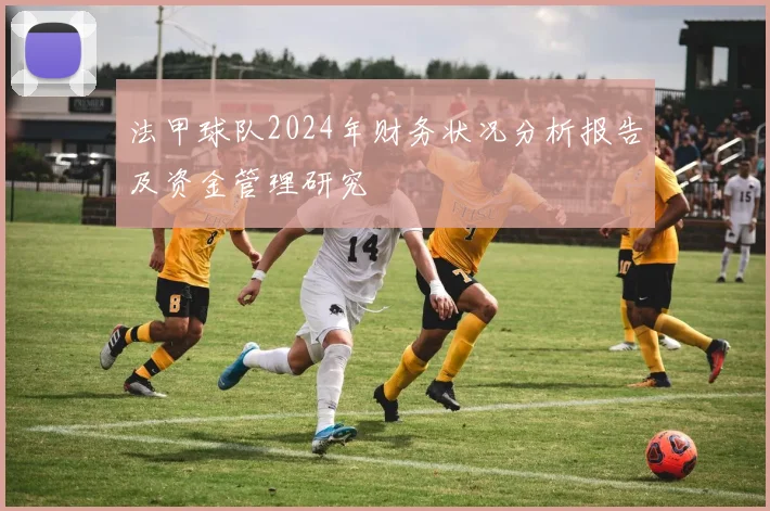 法甲球队2024年财务状况分析报告及资金管理研究
