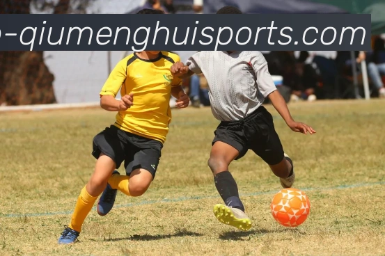 球盟会发展历程