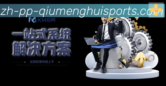 未来规划